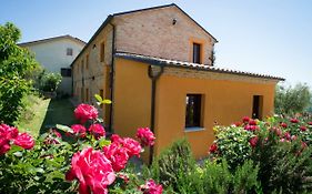 Il Vecchio Scornabecco Scapezzano